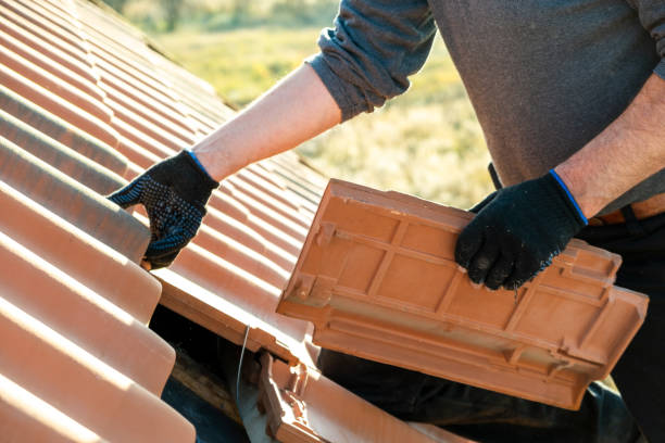 istockphoto 1291674590 612x612 istockphoto 1291674590 612x612